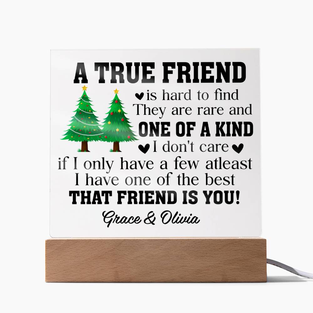 Friendship Appreciation Acrylic Display