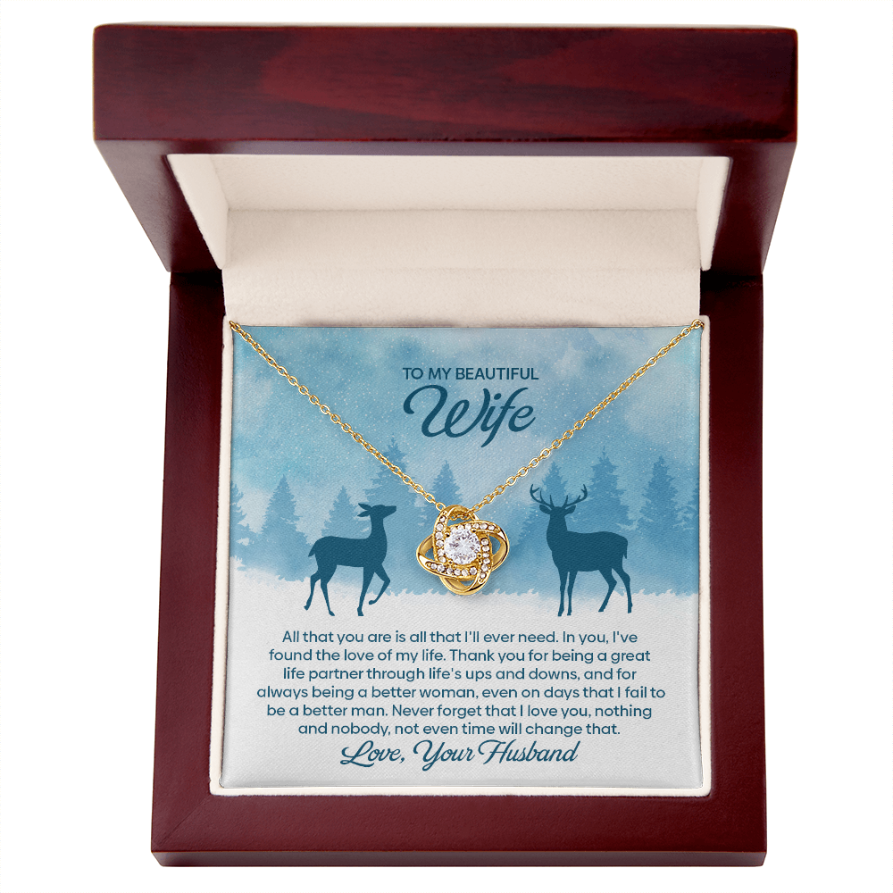 To My Beautiful Wife – I Found The Love of My Life Necklace with Snowy Landscape