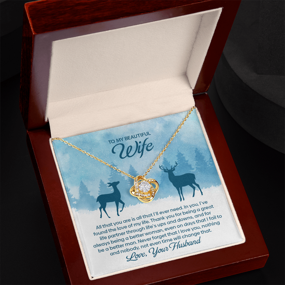 To My Beautiful Wife – I Found The Love of My Life Necklace